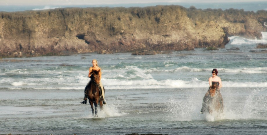 Balade en cheval en bord de mer