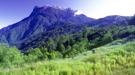 Journée au parc naturel Kinabalu