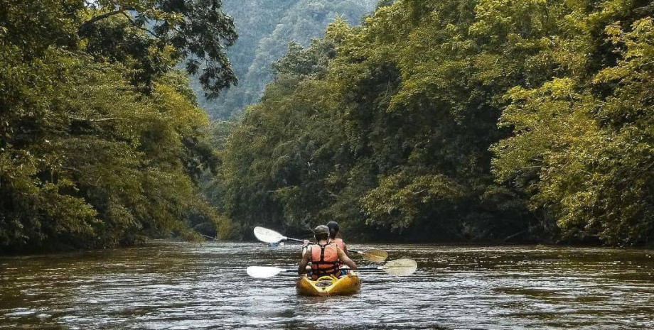 En kayak à Bornéo