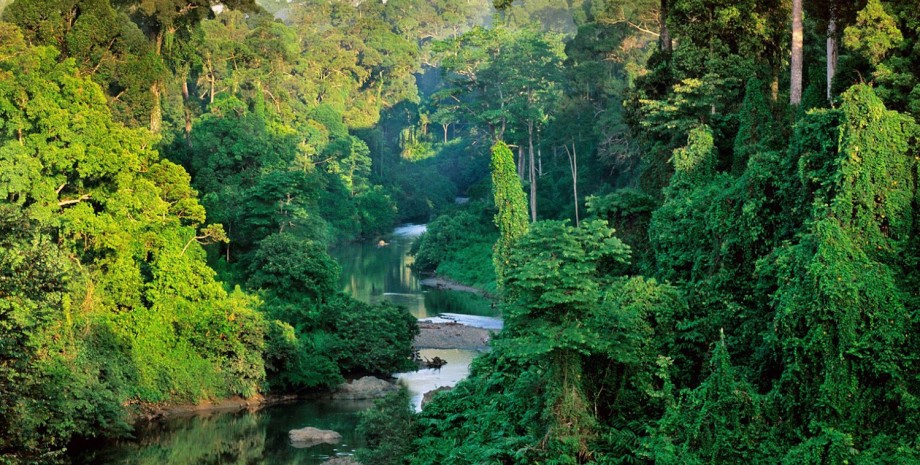 VTT dans la jungle de Bornéo