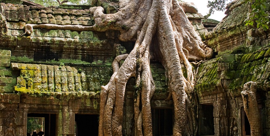 Journée à Angkor