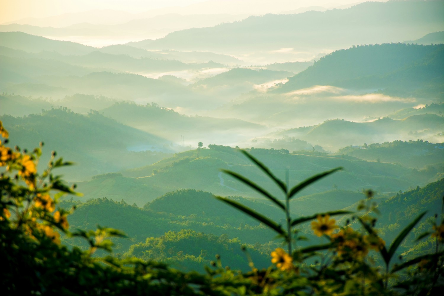 Paysage panoramique des montagnes du nord de la Thaïlande sous une brume mystique