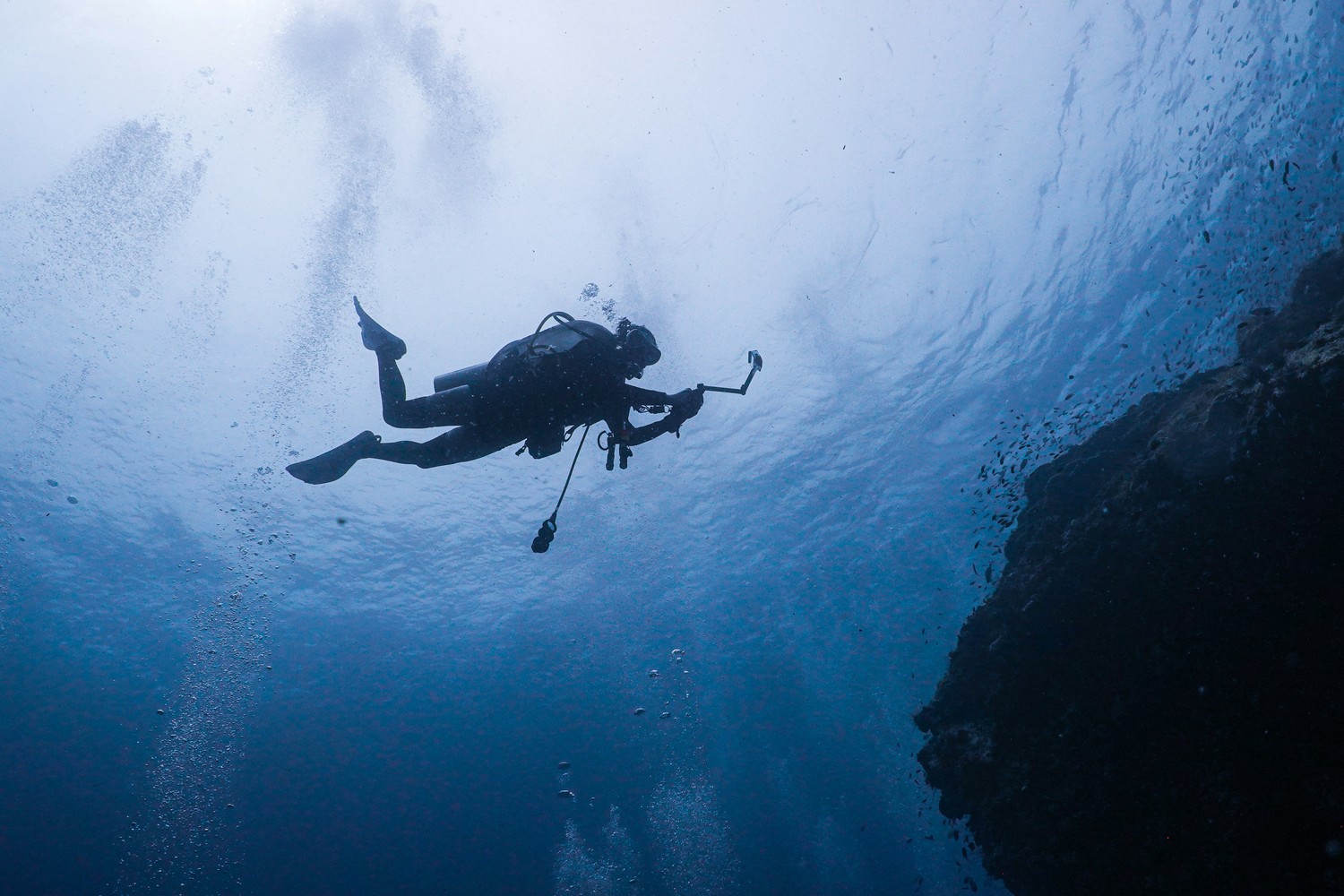 Plongeur en silhouette dans le bleu, le long d'un tombant