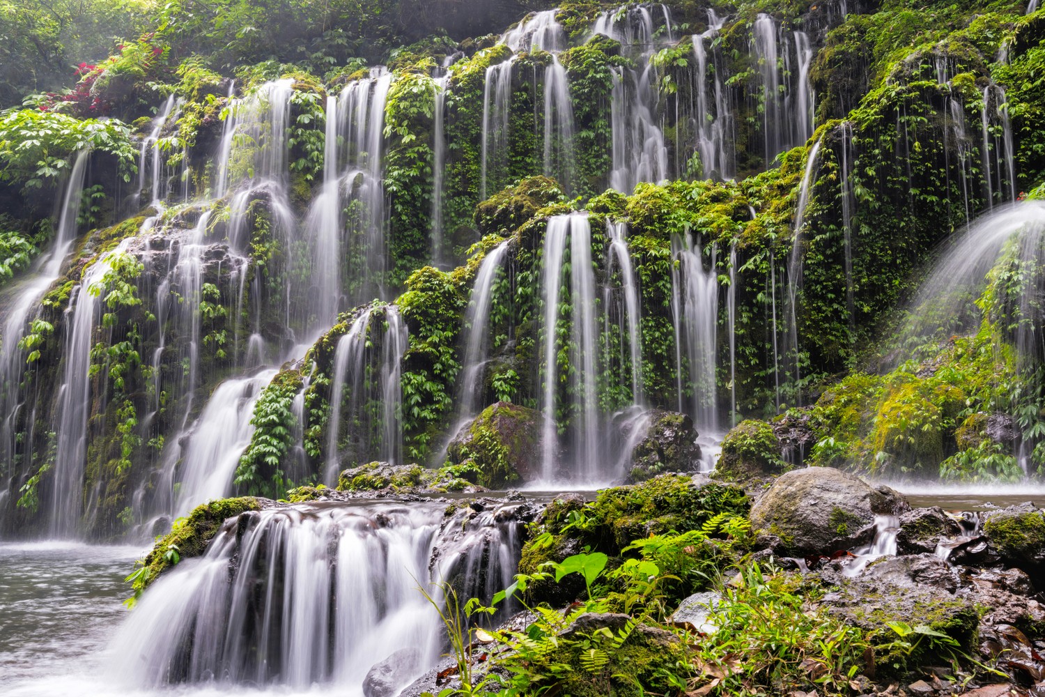 Cascade en rideaux d'eau sur une paroi couverte de végétation tropicale au nord de Bali