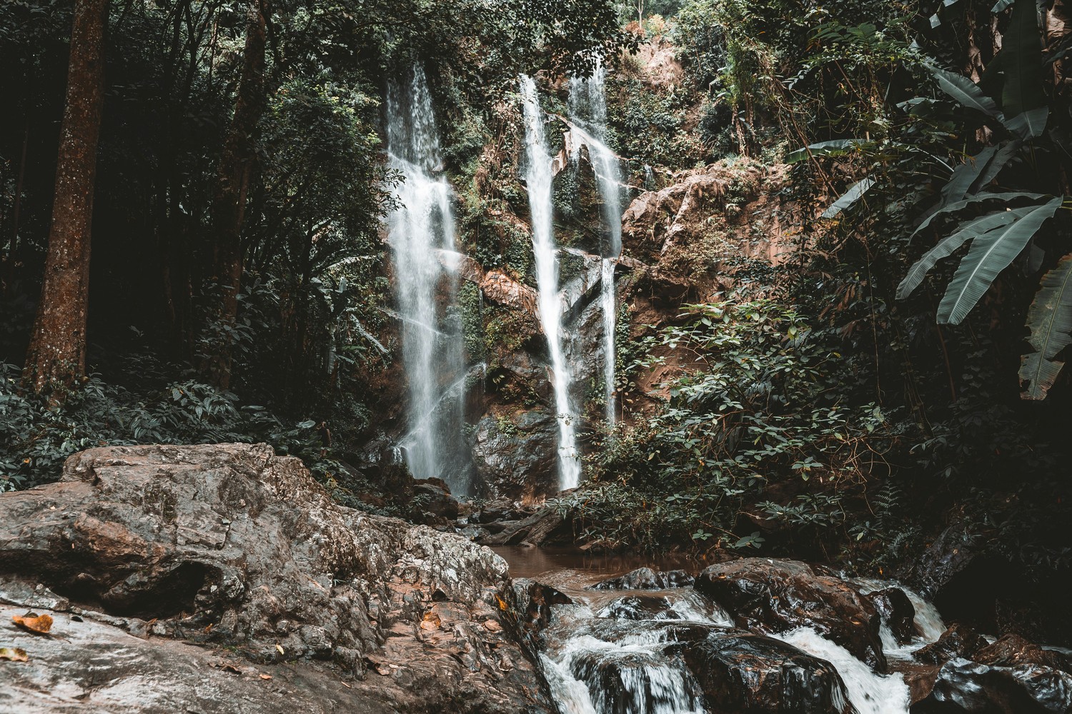 Cascade tombant en plusieurs filets dans une forêt tropicale dense