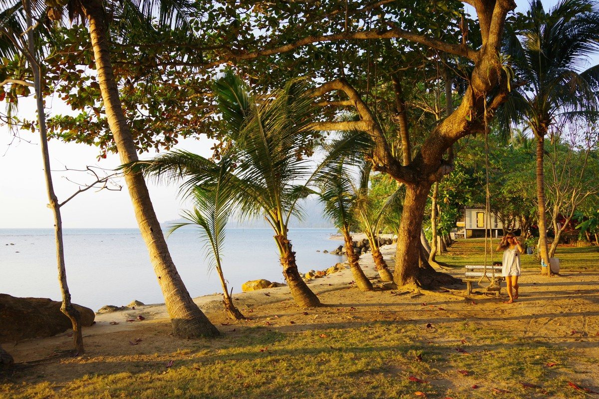 Cocotiers penchés au-dessus d'une plage bordée de pelouse à Koh Chang, en fin de journée