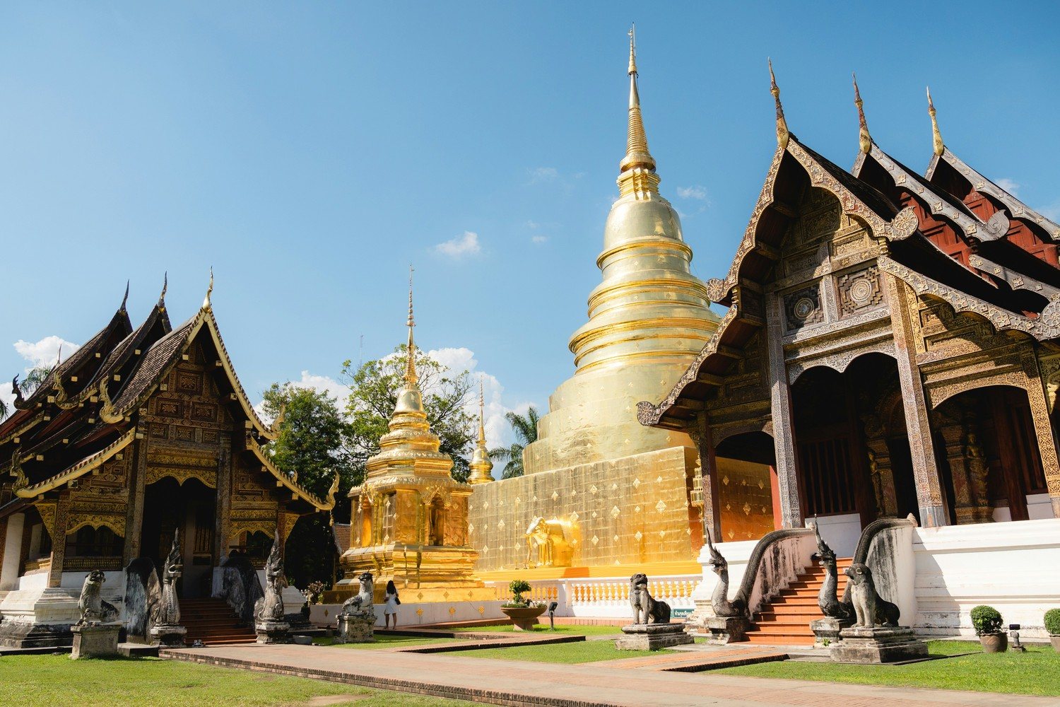 Le chedi dore du Wat Phra Singh encadre par les viharns en teck sculpte